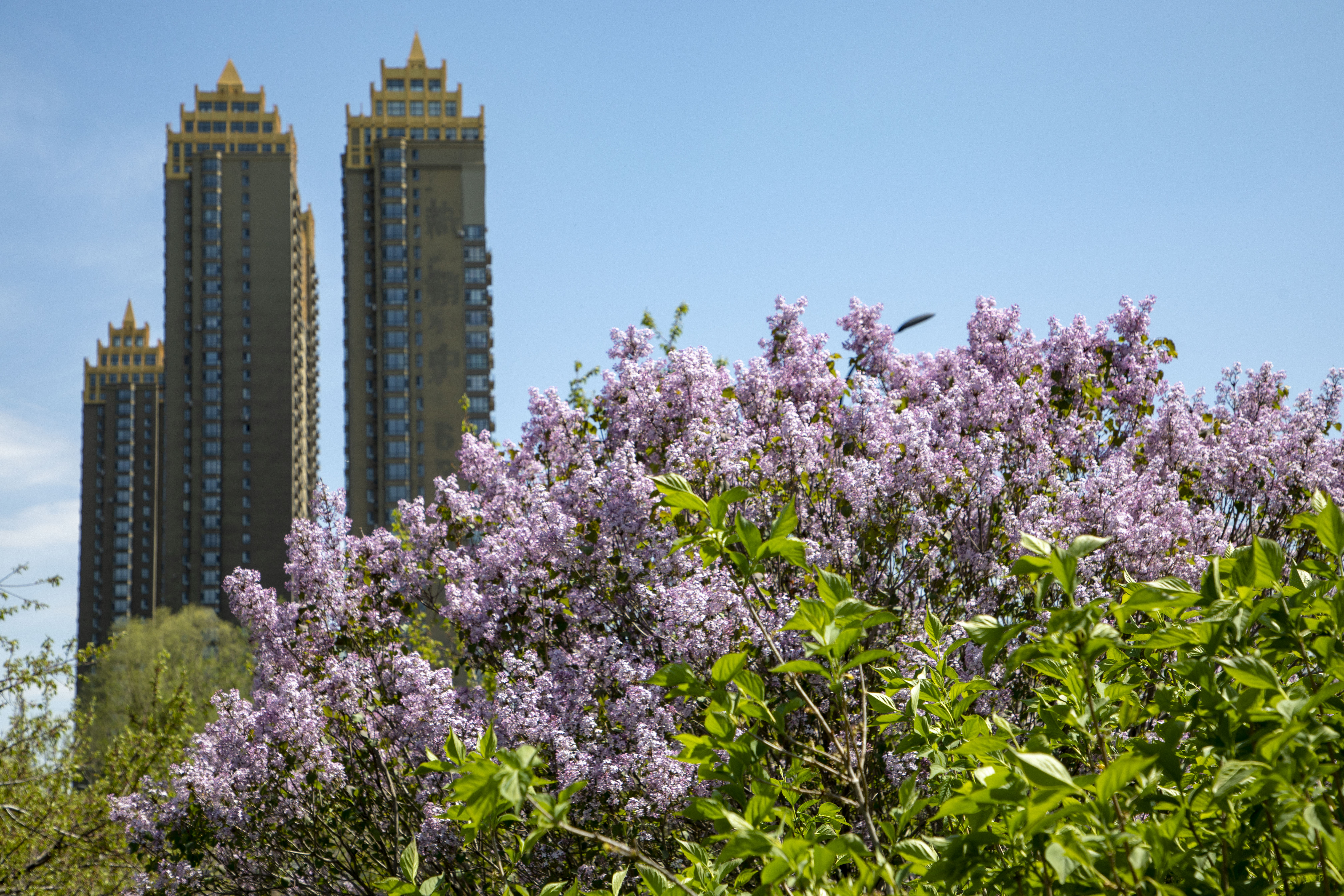 图虫创意-935472945466572838.jpeg 图虫创意-935472945466572838.jpeg