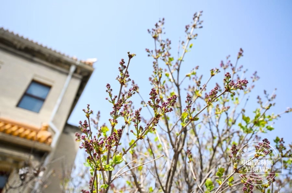 微信图片_20250423155143.jpg 微信图片_20250423155143.jpg