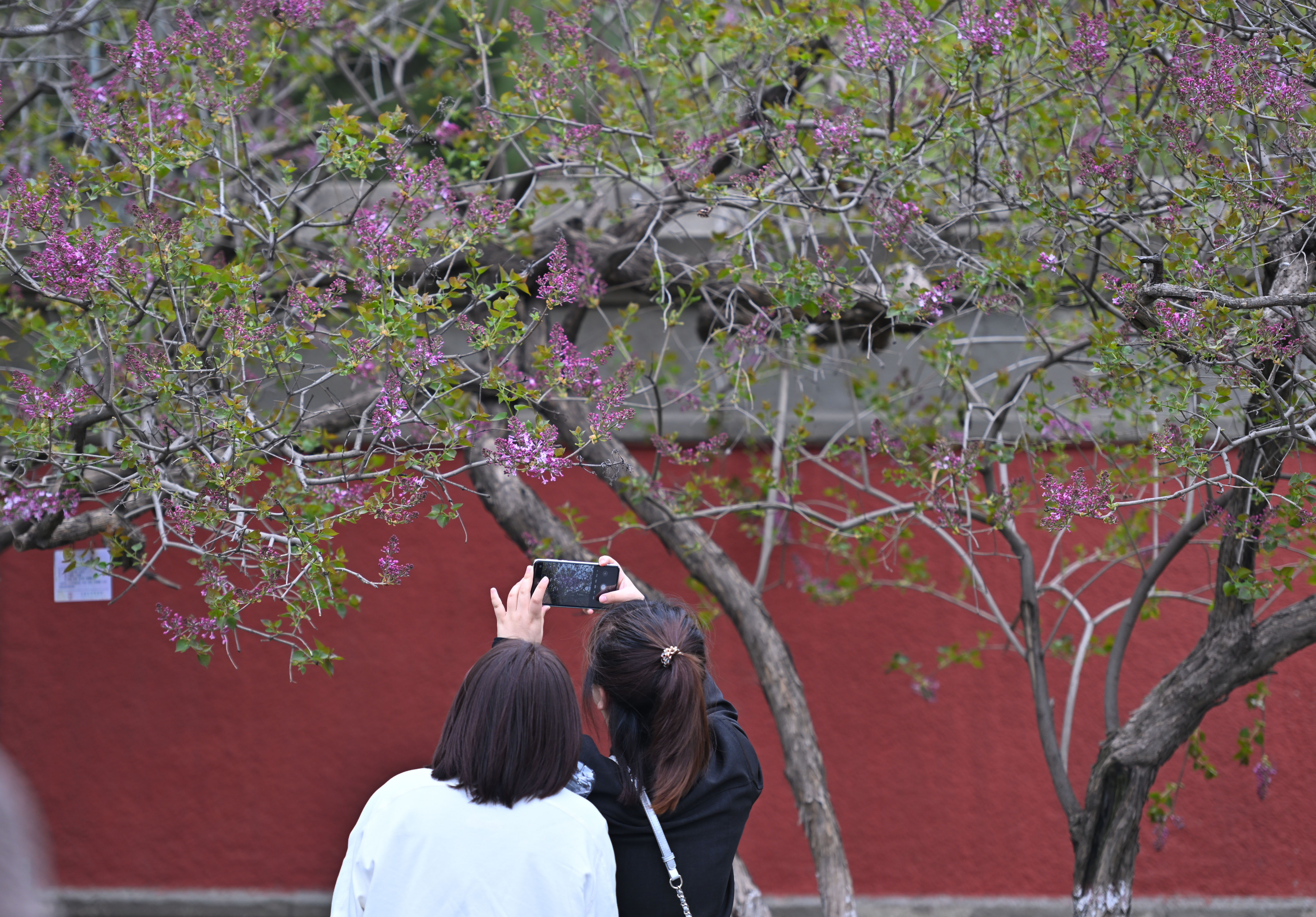 微信图片_20250501193351.jpg 微信图片_20250501193351.jpg