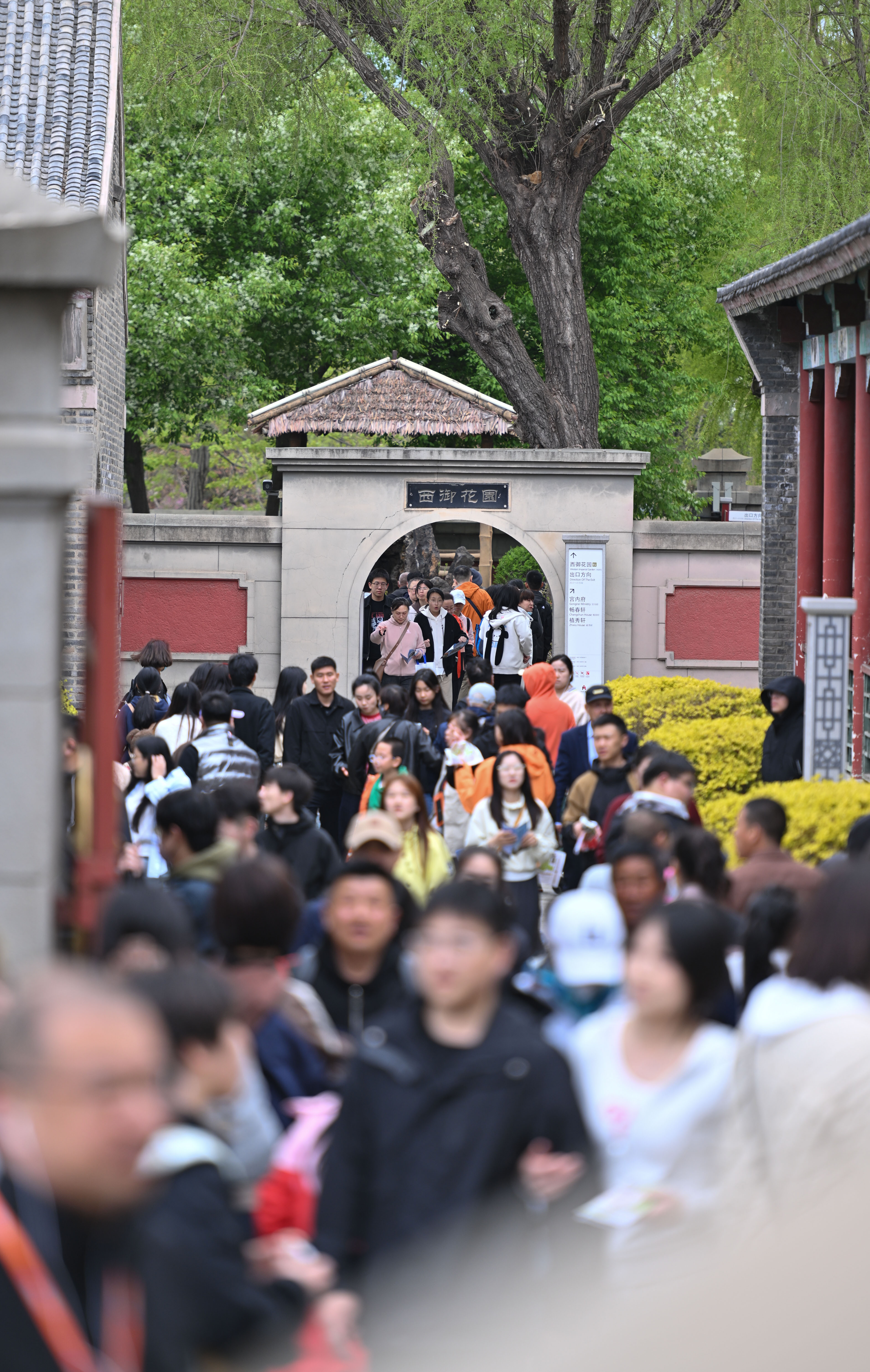 微信图片_20250501193402.jpg 微信图片_20250501193402.jpg