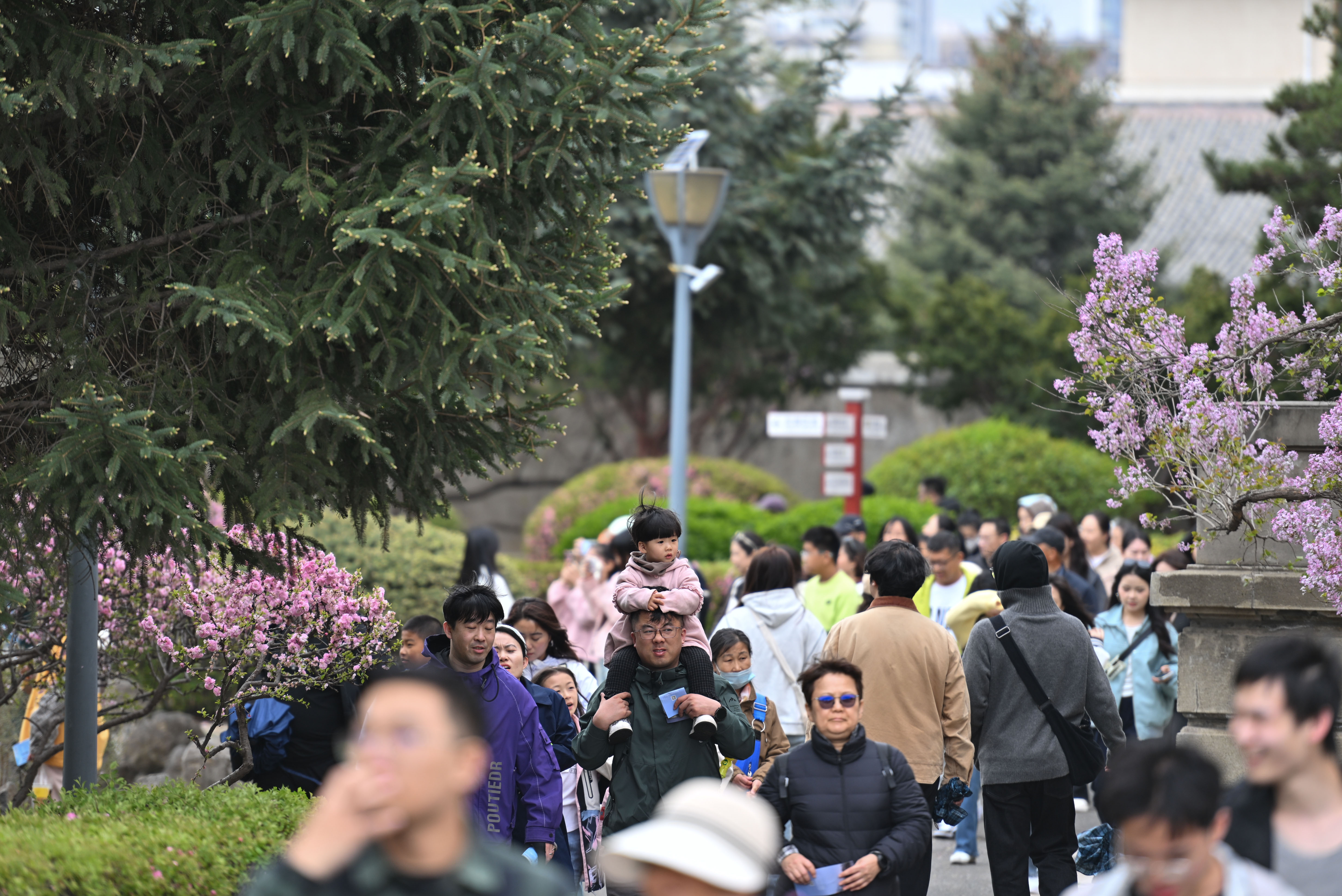 微信图片_20250501193338.jpg 微信图片_20250501193338.jpg