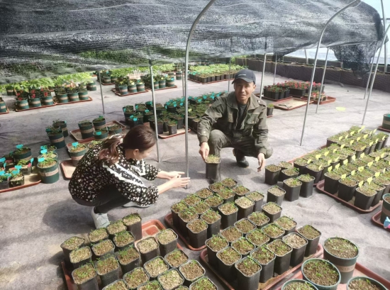 微信图片_20250502060531.jpg 微信图片_20250502060531.jpg