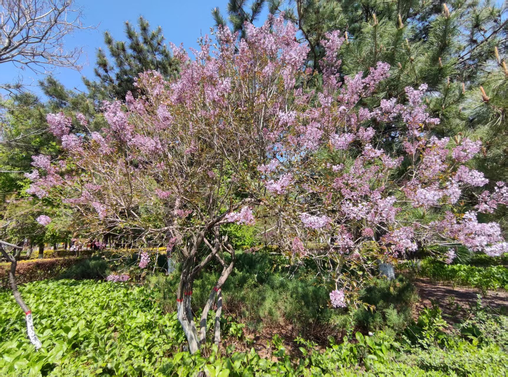 微信图片_20250502143508.jpg 微信图片_20250502143508.jpg