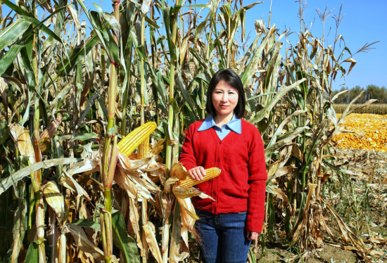 图片4.png 图片4.png