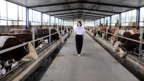 图片5.jpg 图片5.jpg