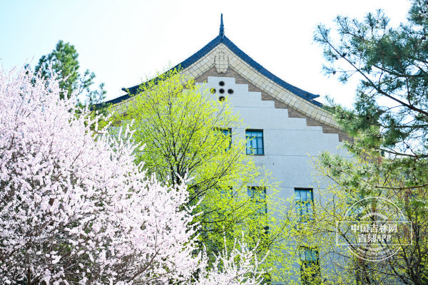 切面2.jpg 切面2.jpg