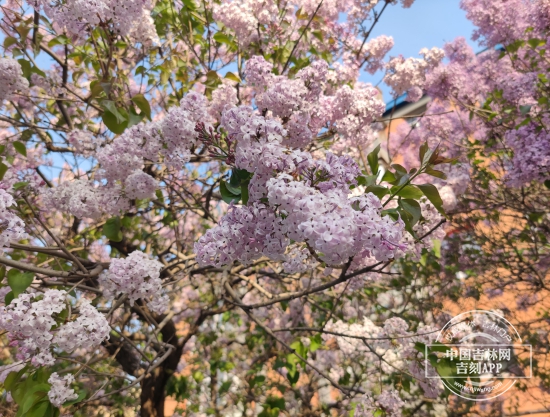 微信图片_20250511171521.jpg 微信图片_20250511171521.jpg