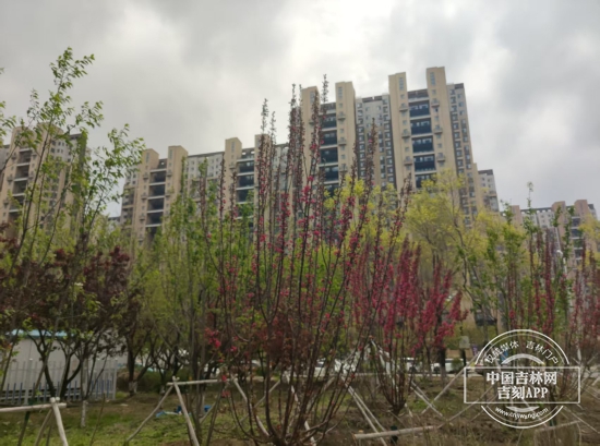 微信图片_20250512151449.jpg 微信图片_20250512151449.jpg