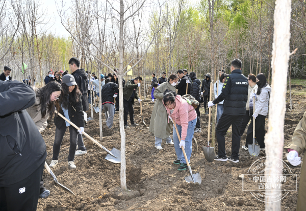 W020250427788423252717.jpg W020250427788423252717.jpg