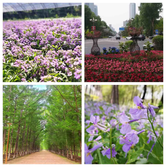 2)5PKD84%RAJU[QC}FFIT}8.png 2)5PKD84%RAJU[QC}FFIT}8.png