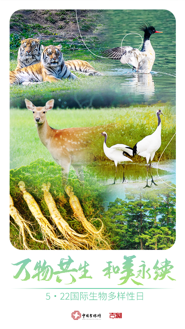 2025年国际生物多样性日7.jpg