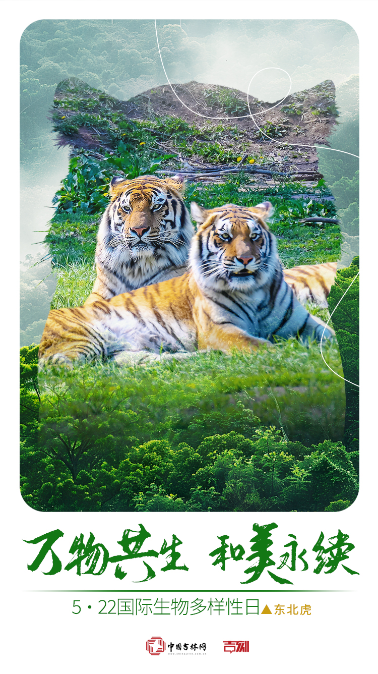 2025年国际生物多样性日6.jpg