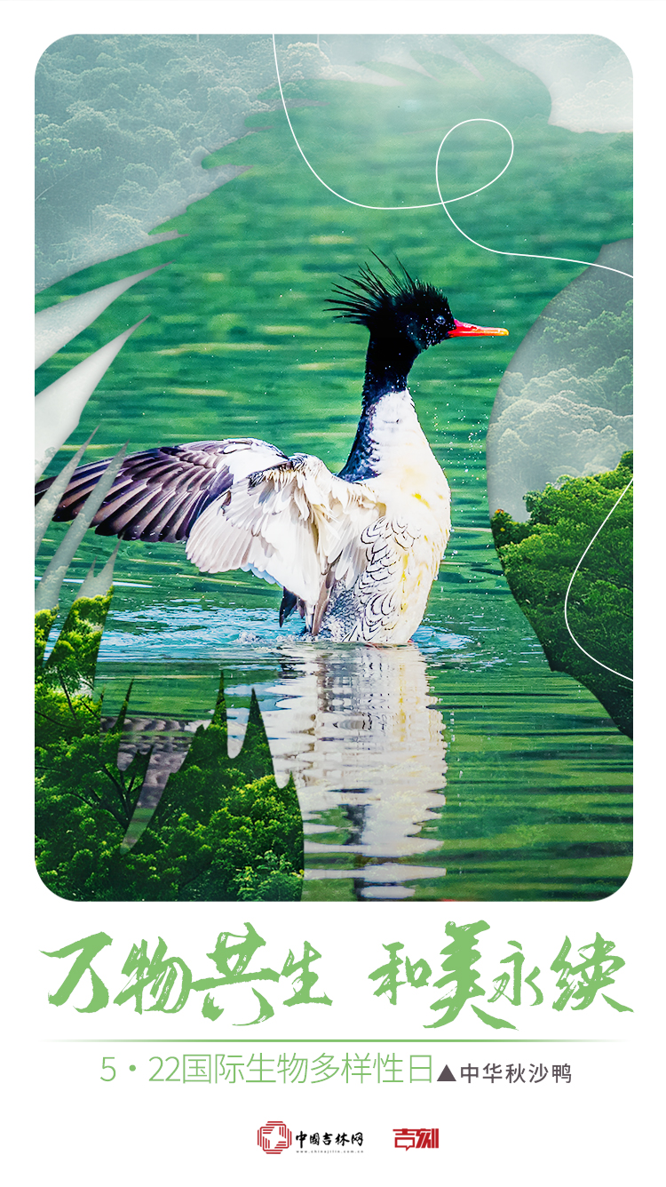 2025年国际生物多样性日2.jpg