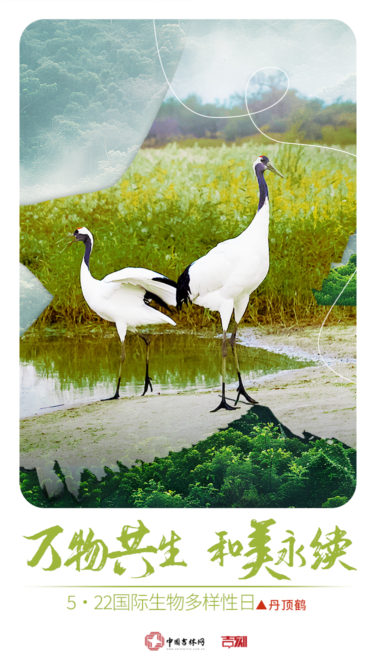 2025年国际生物多样性日3.jpg