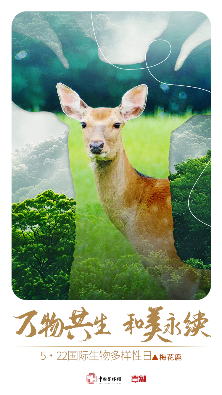 2025年国际生物多样性日.jpg