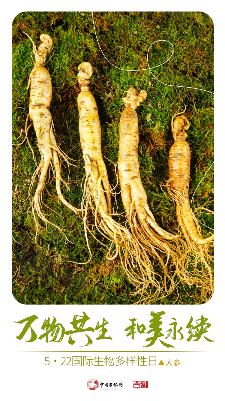 2025年国际生物多样性日5.jpg
