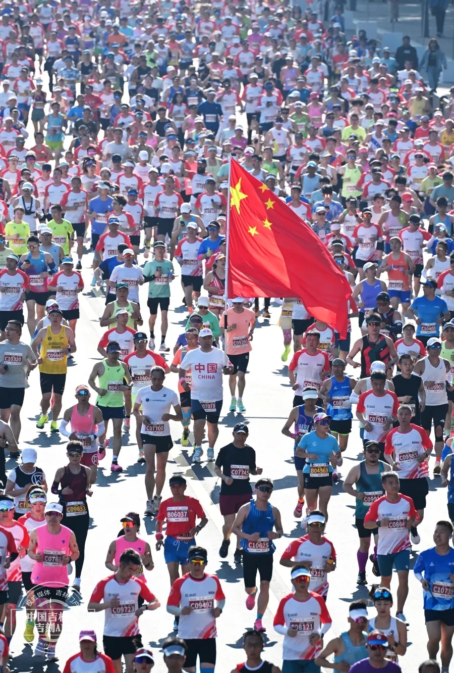 长马1.webp.jpg 长马1.webp.jpg