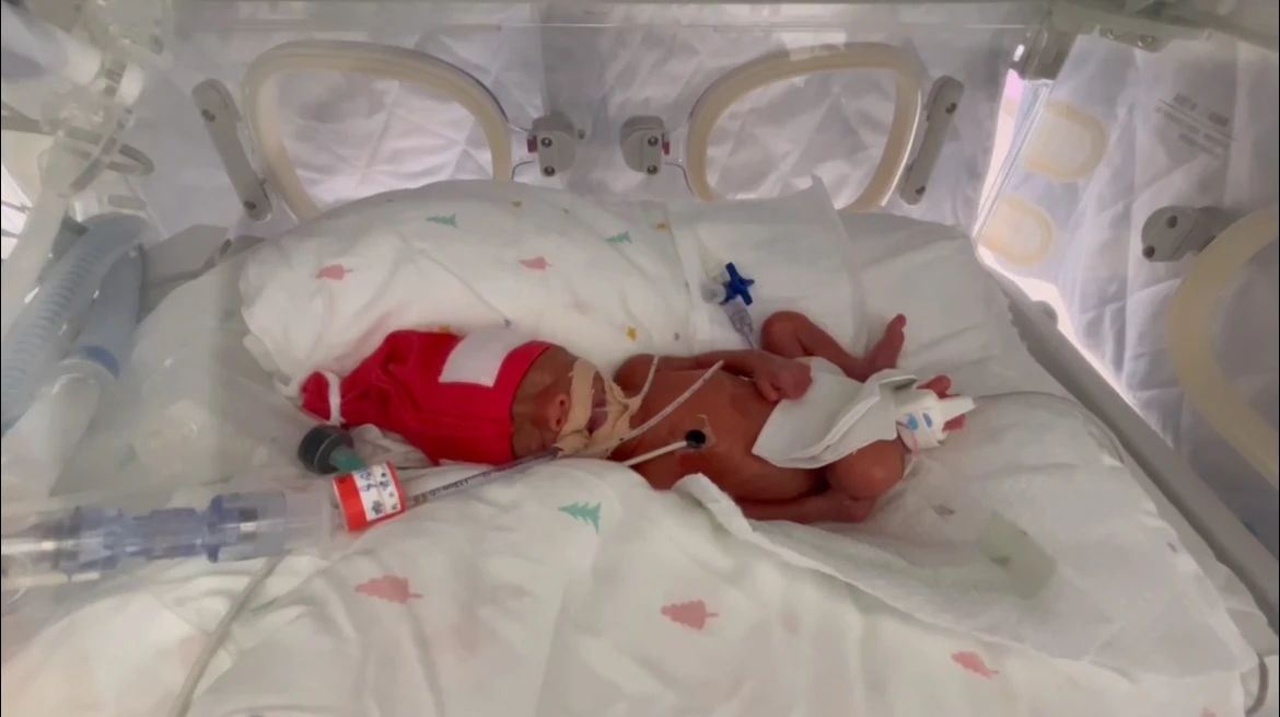 WechatIMG2.jpg WechatIMG2.jpg