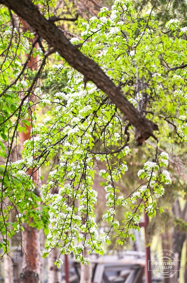 基层.jpg 基层.jpg