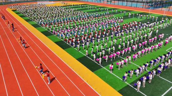 图片1.png 图片1.png