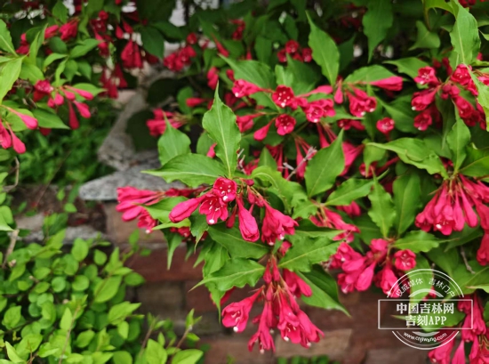 微信图片_20250603153147.jpg 微信图片_20250603153147.jpg