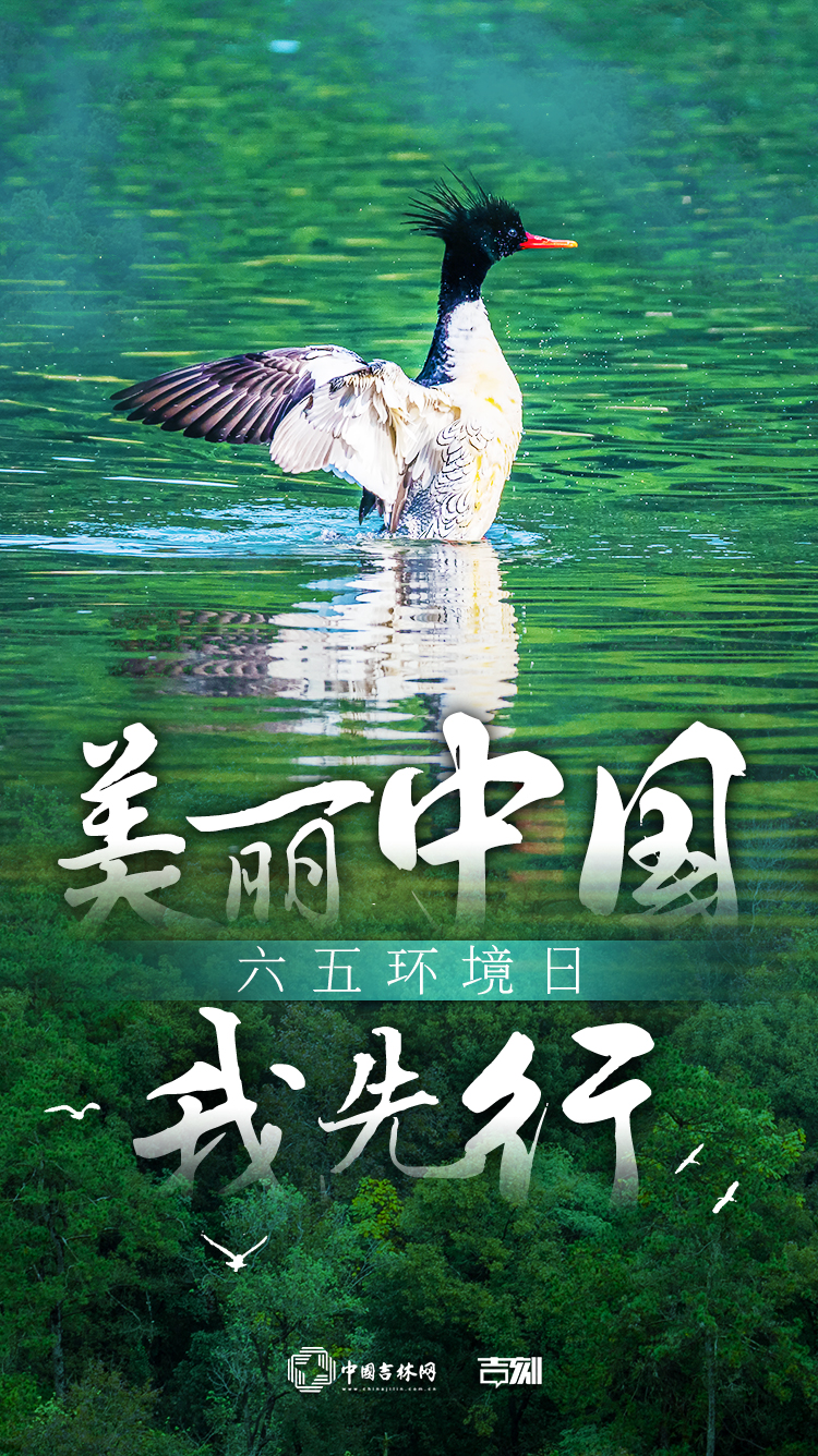 六五环境日美丽中国我先行.jpg