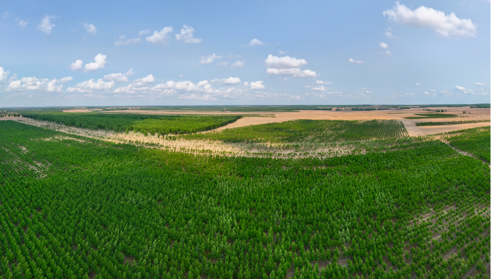 NOY[Y}5$)[[C93C(``N`Y(Y.png NOY[Y}5$)[[C93C(``N`Y(Y.png