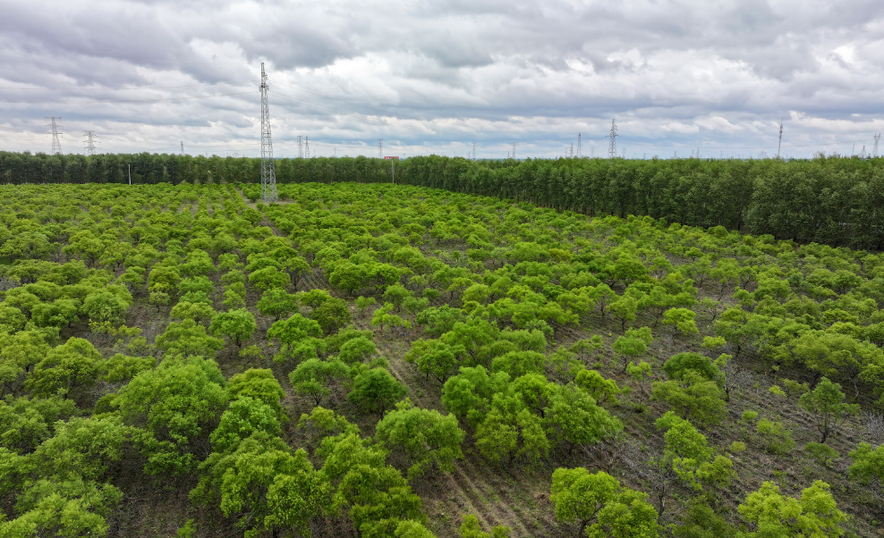 {23~2J6FN@QV9(M4GFO3939.png {23~2J6FN@QV9(M4GFO3939.png