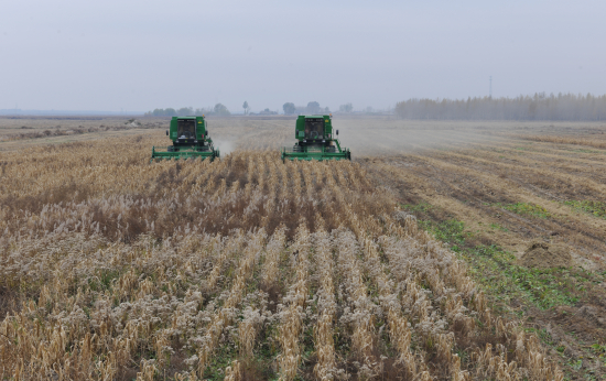 mmexport1749522548609.jpg mmexport1749522548609.jpg