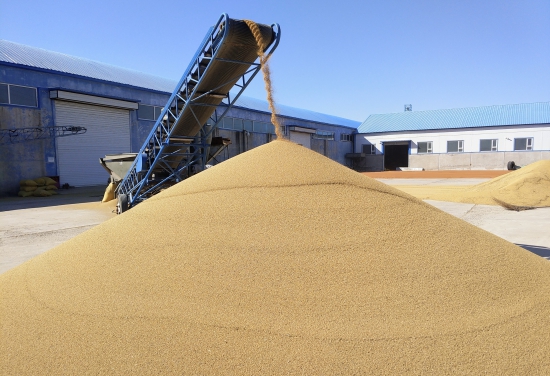 mmexport1749522541109.jpg mmexport1749522541109.jpg