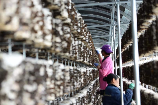 fd30f3ea2e846358a1a80c02c403f1f.jpg fd30f3ea2e846358a1a80c02c403f1f.jpg