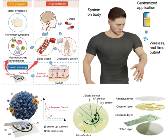 微信图片_20250612153252.png 微信图片_20250612153252.png