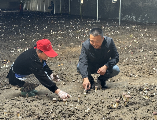 W020250529856787920993.jpg W020250529856787920993.jpg