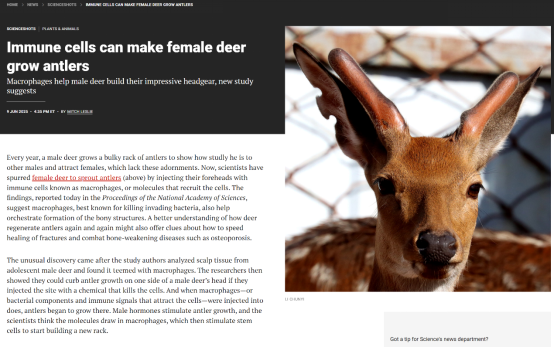 640 (8).png 640 (8).png