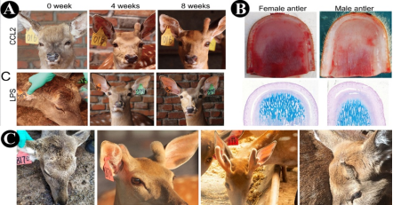 640 (10).png 640 (10).png