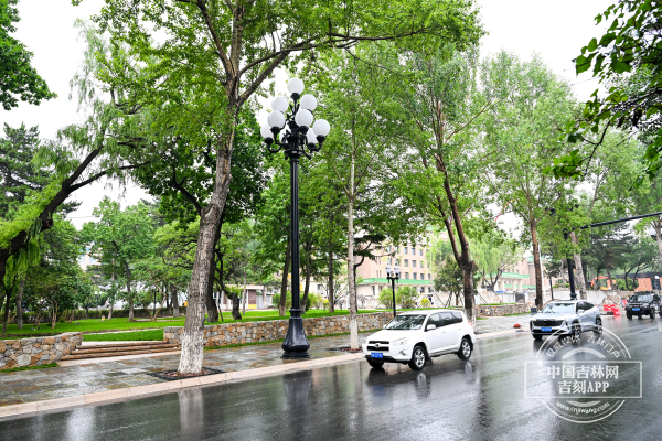 路灯1.jpg 路灯1.jpg