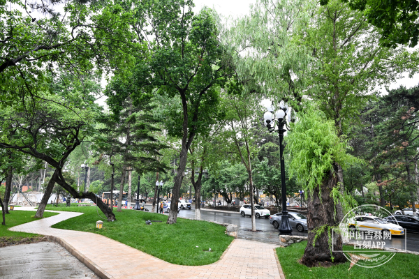 66666666.jpg 66666666.jpg