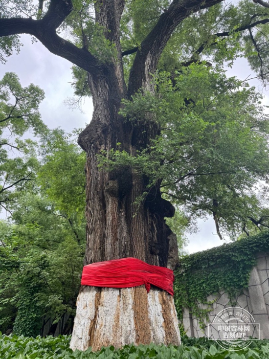 8e48c619bod131ff5e78a3636ee60d09.jpg 8e48c619bod131ff5e78a3636ee60d09.jpg