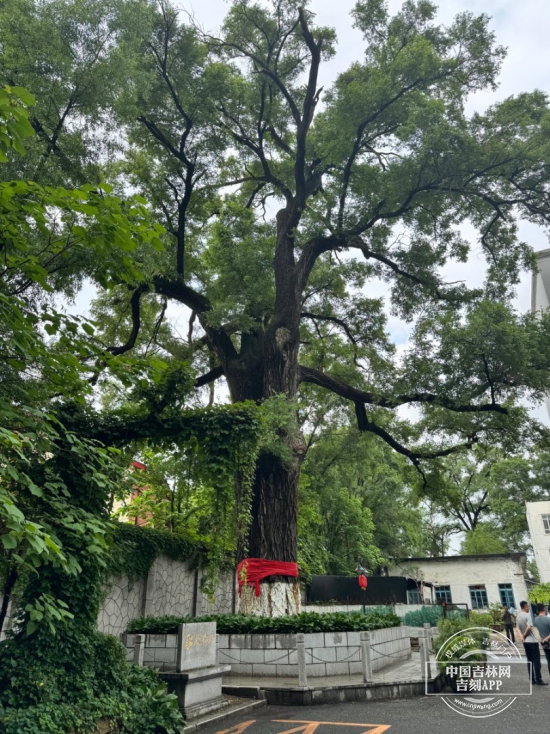 d893ec8a3u9ff6e9c54403b66b6f0ba0.jpg d893ec8a3u9ff6e9c54403b66b6f0ba0.jpg