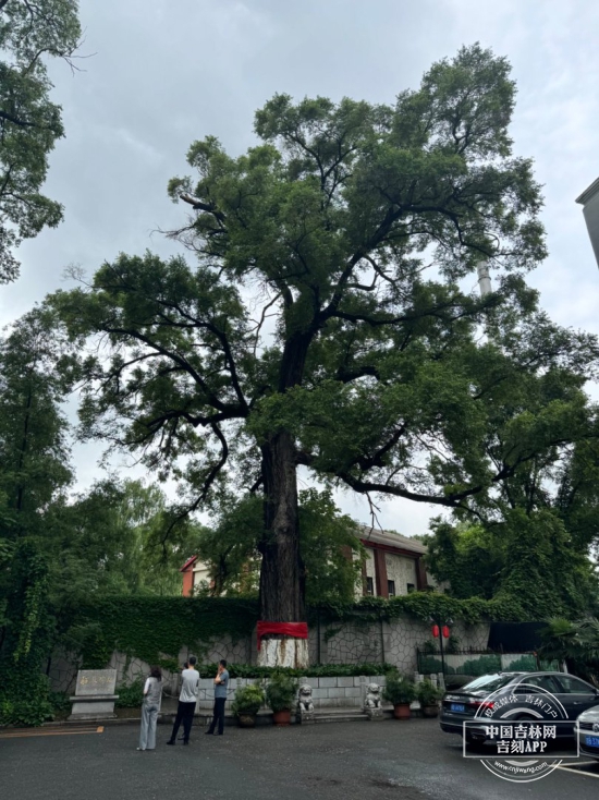 d48a3dd8ckb768464419afe377fc94d5.jpg d48a3dd8ckb768464419afe377fc94d5.jpg