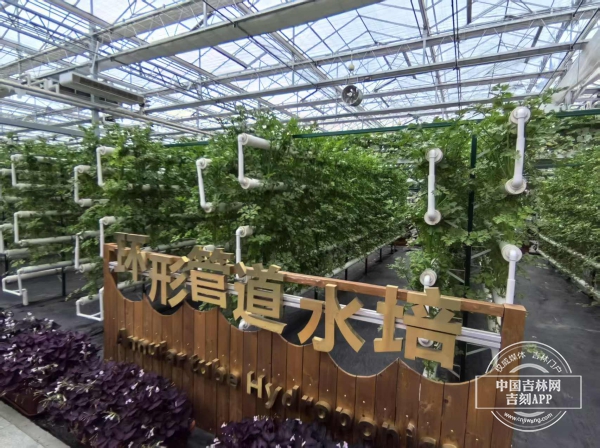 微信图片_20250705092224.jpg 微信图片_20250705092224.jpg