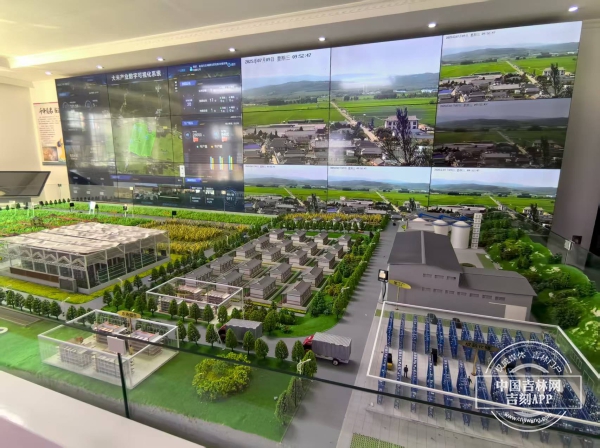 稻田4.jpg 稻田4.jpg