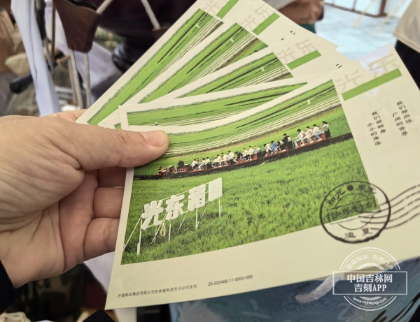 稻田1.jpg 稻田1.jpg