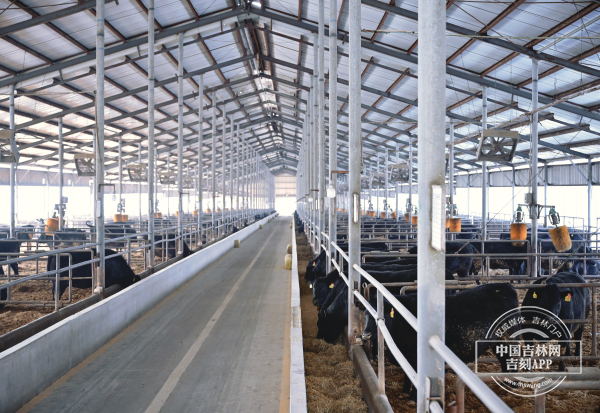 W020250303430481986444.jpg W020250303430481986444.jpg