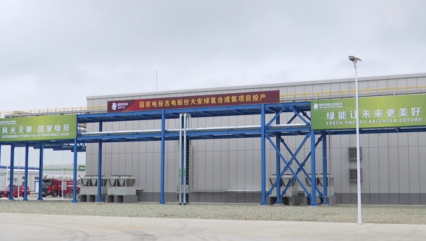 WechatIMG343.jpg WechatIMG343.jpg