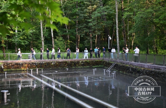 微信图片_20250728225103.jpg 微信图片_20250728225103.jpg