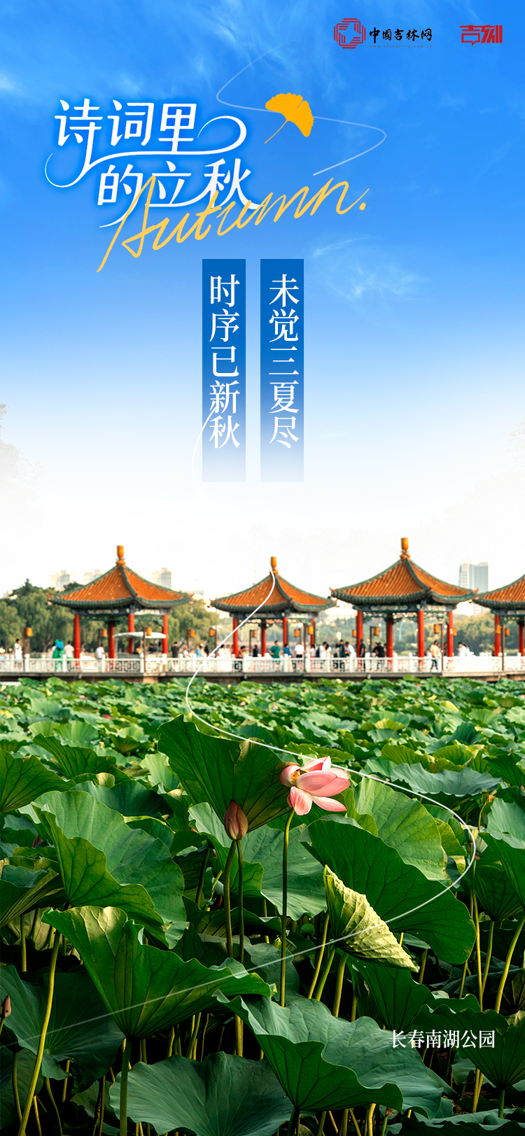 立秋3.jpg 立秋3.jpg