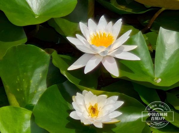 微信图片_2025-08-07_111523_989.jpg 微信图片_2025-08-07_111523_989.jpg