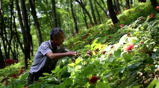 QQ图片20250812101714.png QQ图片20250812101714.png