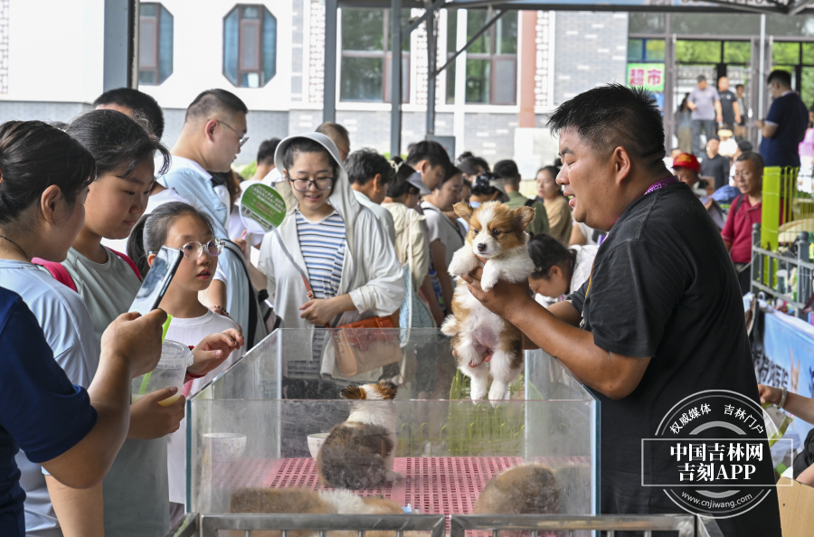 微信图片_20250815173529.jpg 微信图片_20250815173529.jpg